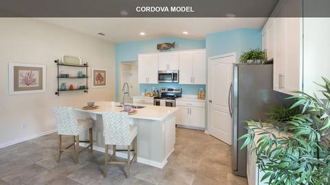 779 Narvarez Ave, Saint Augustine, FL 32084 photo 9