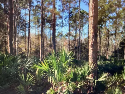 929 Helen St, Saint Augustine, FL 32084 photo 1