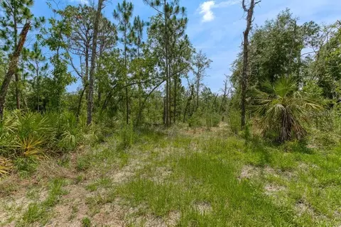 174 Union Ave, Interlachen, FL 32148 photo 41