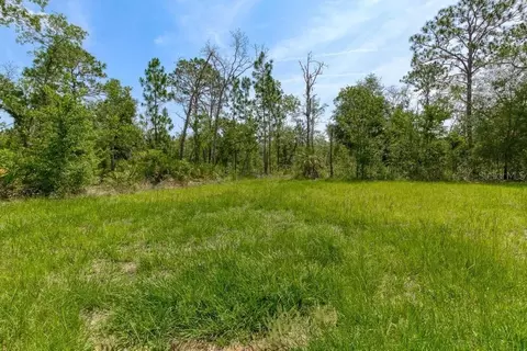 174 Union Ave, Interlachen, FL 32148 photo 42