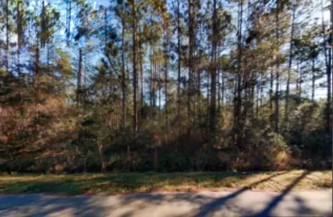 10570 Ebert Ave, Hastings, FL 32145 photo 1