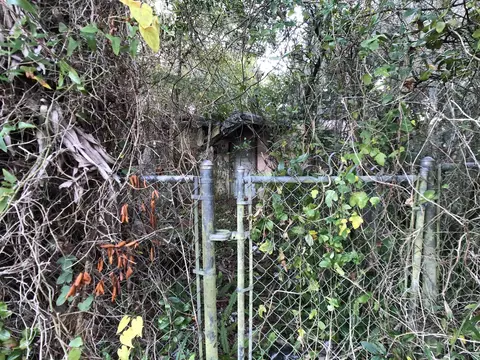 671 W Cathedral Pl, Saint Augustine, FL 32084 photo 4