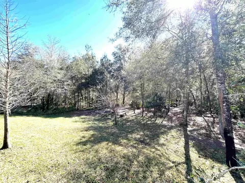 113 Woodcutters Trl, Saint Augustine, FL 32086 photo 16