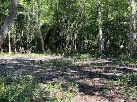 1808 1778 Coconut Blvd, Bunnell, FL 32110 photo 4