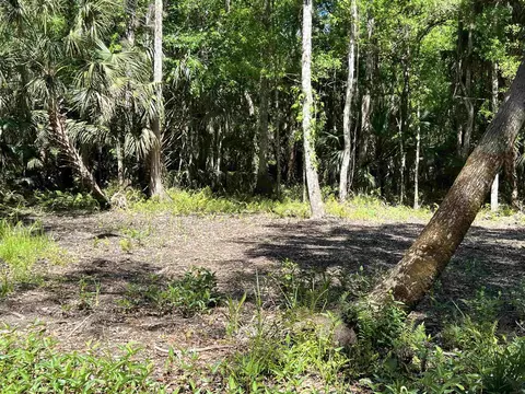 1808 1778 Coconut Blvd, Bunnell, FL 32110 photo 5