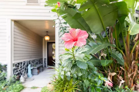 Entry Way - 312 Linden Rd, Saint Augustine, FL 32086 photo 1 of 1