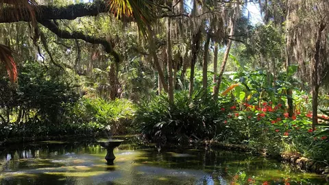View/Area - 44 Bogey Pl, Bunnell, FL 32110 photo 10 of 11