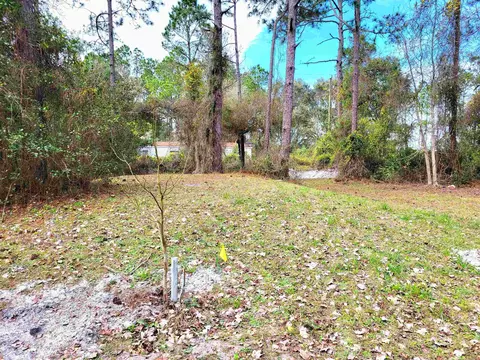 1830 Isherwood Ter, Saint Augustine, FL 32092 photo 5