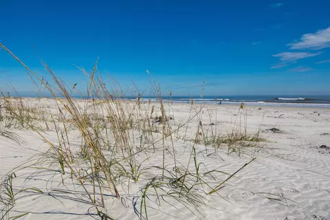 View/Area - 957 Deer Hammock Cir, Saint Augustine, FL 32080 photo 7 of 7