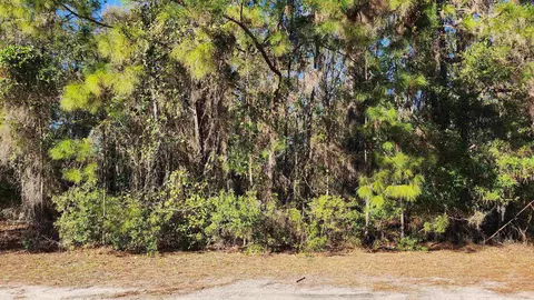 118 May Ave, Georgetown, FL 32139 photo 1