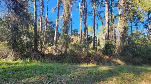 124 July Ave, Georgetown, FL 32139 photo 1
