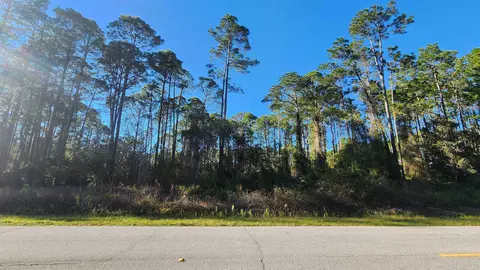 166 Georgetown Denver Rd, Georgetown, FL 32139 photo 1