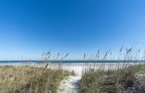 View/Area - 74 Aloha Cir, Saint Augustine, FL 32080 photo 6 of 16