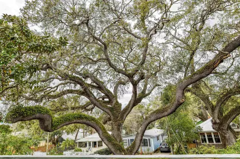 Other - 133 Blanco St, Saint Augustine, FL 32084 photo 1 of 5
