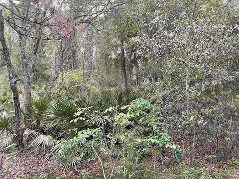 4891 Avenue A, Saint Augustine, FL 32095 photo 6