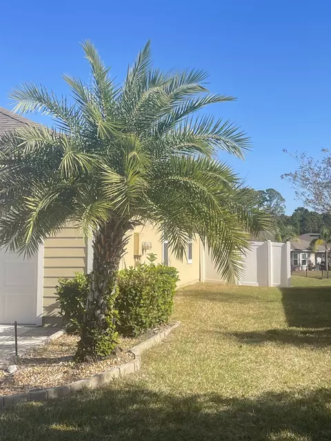 Exterior - 165 Pullman Cir, Saint Augustine, FL 32084 photo 4 of 18