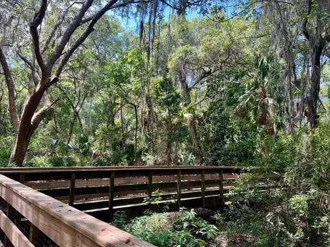 View/Area - 651 Shores Blvd, Saint Augustine, FL 32086 photo 6 of 10