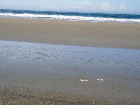 View/Area - 651 Shores Blvd, Saint Augustine, FL 32086 photo 7 of 10
