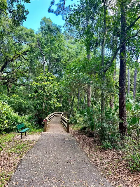 Other - 651 Shores Blvd, Saint Augustine, FL 32086 photo 15 of 17