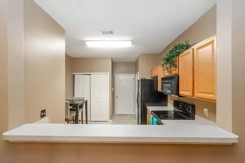 Entry Way - 871 Scrub Jay Dr, Saint Augustine, FL 32092 photo 1 of 1