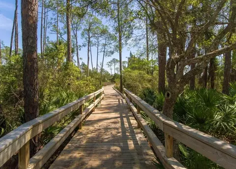 View/Area - 120 Marshall Creek Dr, Saint Augustine, FL 32095 photo 12 of 14