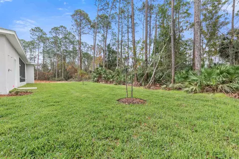 6 Elder Pace, Palm Coast, FL 32164 photo 47