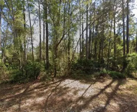 104 Anne Blvd, Georgetown, FL 32139 photo 1