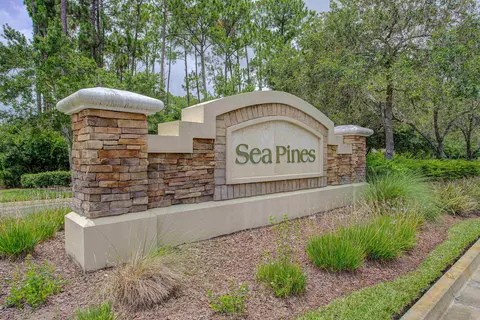 View/Area - 750 Needle Grass Dr, Saint Augustine, FL 32086 photo 5 of 9