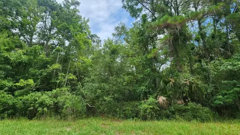 216 Palm Way, Georgetown, FL 32112