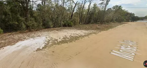 tbd Morse Ave, Interlachen, FL 32148 photo 4