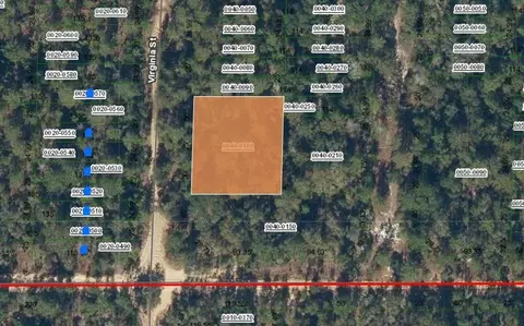 0 Virginia, Interlachen, FL 32148 photo 3