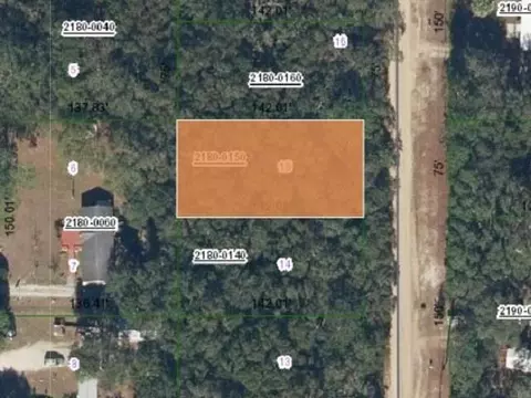 0 Dunham, Interlachen, FL 32148 photo 2