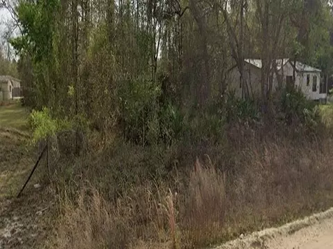 0 Britt, Interlachen, FL 32148 photo 3