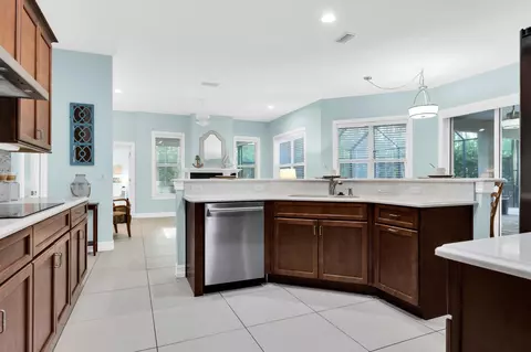 113 Needle Palm Dr, Saint Augustine, FL 32086 photo 13