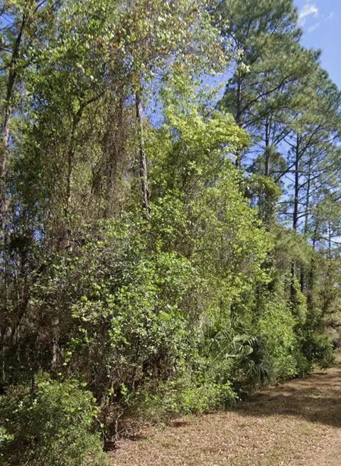 128 Helen Ave, Georgetown, FL 32139 photo 1