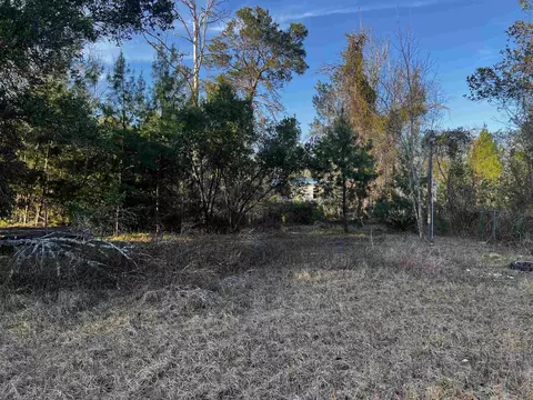 216 Nova Scotia St, Interlachen, FL 32148 photo 2