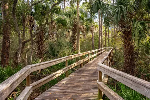 View/Area - 109 Marshall Creek Dr, Saint Augustine, FL 32095 photo 10 of 22