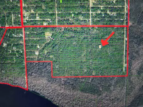 311 Chipola Dr, Georgetown, FL 32139 photo 1