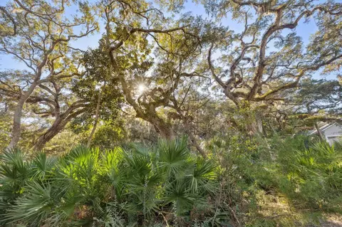 425 Ocean Forest Dr, Saint Augustine, FL 32080 photo 17