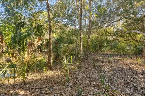 425 Ocean Forest Dr, Saint Augustine, FL 32080 photo 14