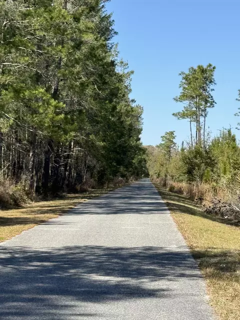 117 Phillips Rd, Florahome, FL 32140 photo 35