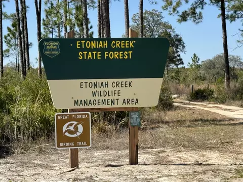 117 Phillips Rd, Florahome, FL 32140 photo 31