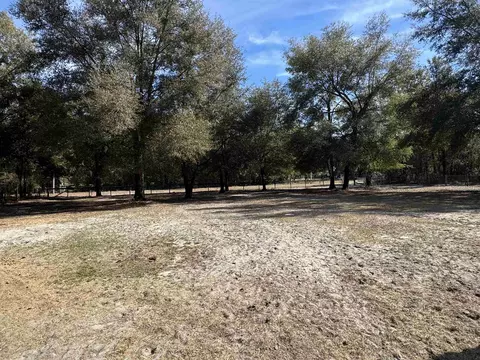 117 Phillips Rd, Florahome, FL 32140 photo 23