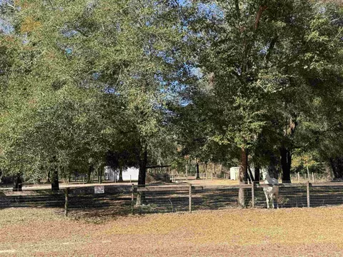 117 Phillips Rd, Florahome, FL 32140 photo 1