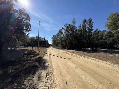 117 Phillips Rd, Florahome, FL 32140 photo 27