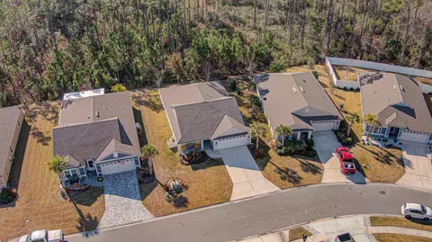 View/Area - 265 Spoonbill Cir, Saint Augustine, FL 32095 photo 7 of 16