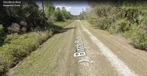 325 Birch Blvd, Georgetown, FL 32139 photo 2