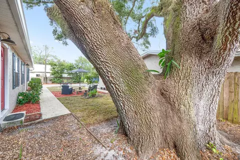 Exterior - 180 Palmer St, Saint Augustine, FL 32084 photo 11 of 18