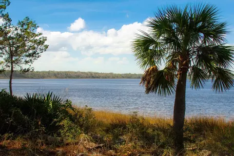 28341 Grandview Mnr, Yulee, FL 32097 photo 61