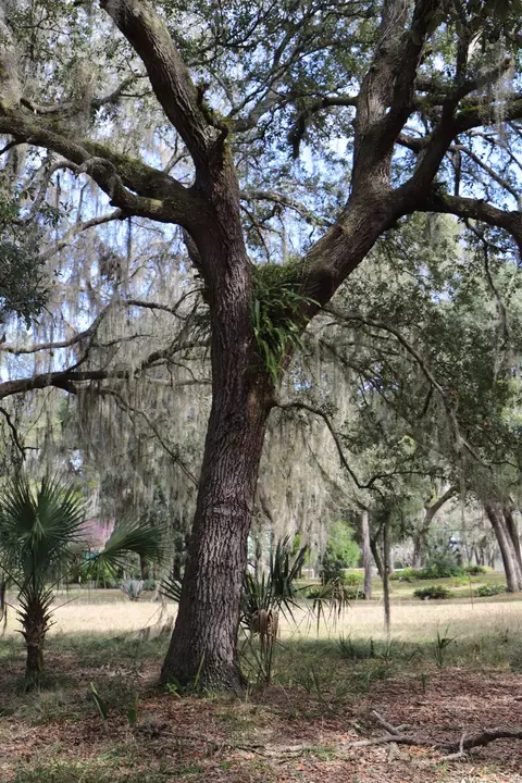 1620 St Marks Pond Blvd, Saint Augustine, FL 32095 photo 9